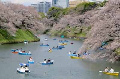 千鳥ヶ淵のボート乗り場